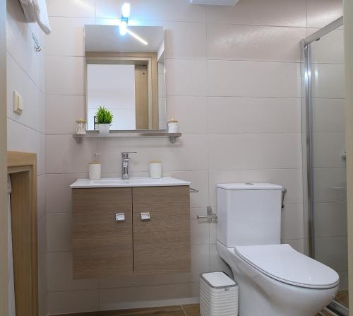 a bathroom with a toilet and a sink and a mirror at DUOMO City Center Suites in Heraklio Town