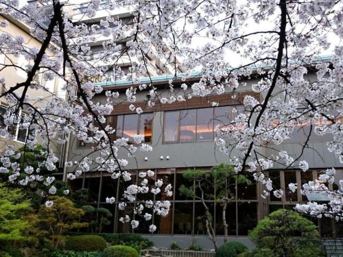 a building with white flowering trees in front of it at Suikoyen Hotel - Vacation STAY 53816v in Kurume