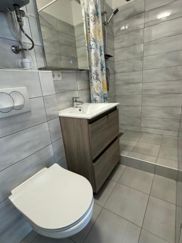 een badkamer met een toilet, een wastafel en een douche bij Pauzo Panorama in Balatonföldvár