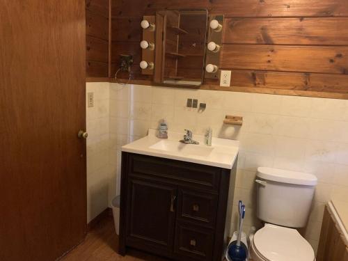 uma casa de banho com um WC e um lavatório em Gresham Shores-Hungry Bear em Arbor Vitae