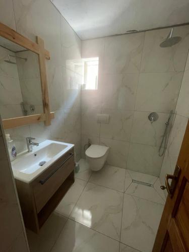 W łazience znajduje się umywalka, toaleta i prysznic. w obiekcie Rupa Guest House w mieście Theth
