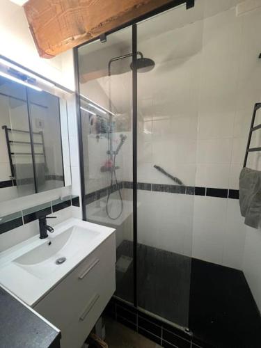 une salle de bain avec un lavabo et une douche en verre dans l'établissement Appartement terrasse belle vue en duplex parking, à Sète