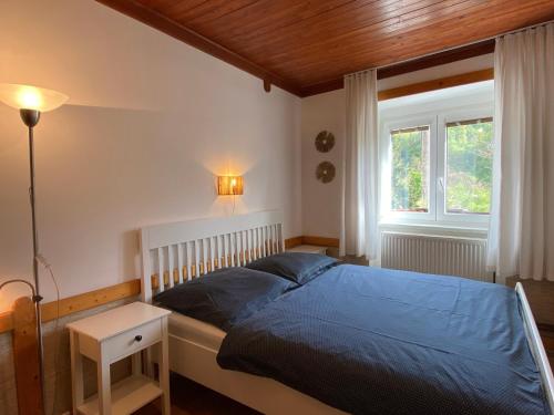 a bedroom with a blue bed and a window at Pension Hamry in Vranov nad Dyjí