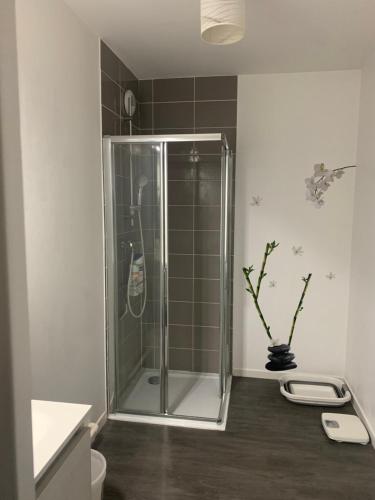 uma casa de banho com um chuveiro e uma porta de vidro em Place verte 2302 em Lille
