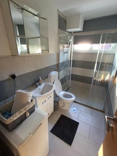 La salle de bains est pourvue de toilettes, d'un lavabo et d'une douche. dans l'établissement Apartman Erin, à Sarajevo