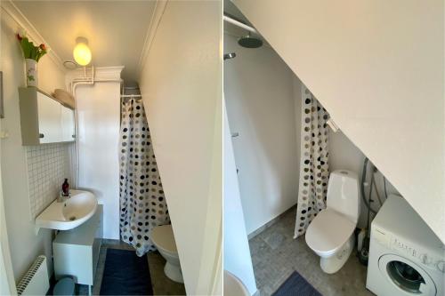 a small bathroom with a sink and a toilet at Tömsagården in Järvsö