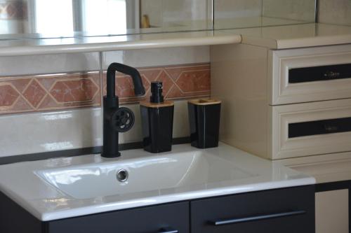 a kitchen sink with a faucet and two trash cans at Domaine des cyprès in Vaudrimesnil