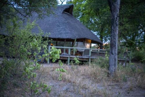 un grand bâtiment avec un toit de chaume dans une forêt dans l'établissement Hyenas Howl, à Chobe