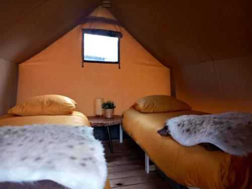 Habitación con 2 camas en una tienda con ventana en Safari Lodge Aan de Linge en Tiel