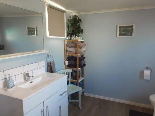 a bathroom with a sink and a mirror at Relax@99 in Featherston