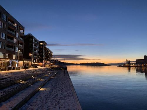 Бассейн в Luxury 2-bedroom Apartment with Seaview in Sentrum Oslo или поблизости