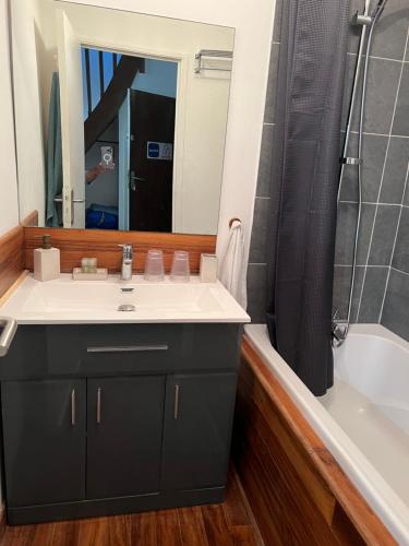 une salle de bain avec un lavabo, une douche et un miroir dans l'établissement Le Duplex des Remparts, à Lille