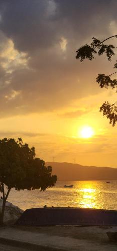 a sunset over a body of water with a tree at Villa Rosa in Punta Rucia