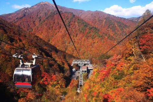 a gondola flying over a mountain in the fall at Mominoki Lodgeモミの木ロッジ in Minakami