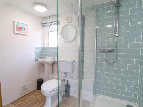 La salle de bains est pourvue de toilettes et d'une douche en verre. dans l'établissement 3 The Almshouse, à Saxmundham