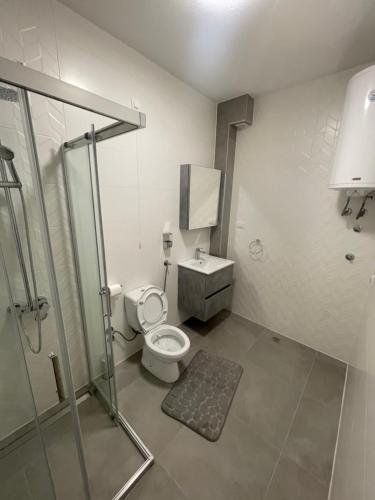a bathroom with a shower and a toilet and a sink at Apartmani Vidikovac in Prijepolje