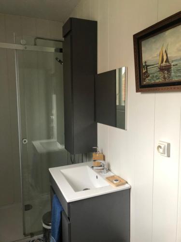 a bathroom with a sink and a shower at La Maison Rose in Viévy