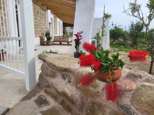 un mur en pierre avec des fleurs rouges sur lui dans l'établissement Al Panorama di Ercole, à Monte di Procida