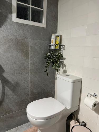 a bathroom with a toilet and a plant on the wall at Spitaki in Alepou