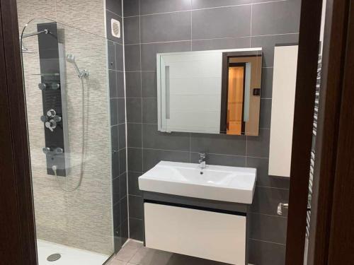 a bathroom with a sink and a shower with a mirror at Résidence Hassan promo el menzeh canastel Oran in Oran