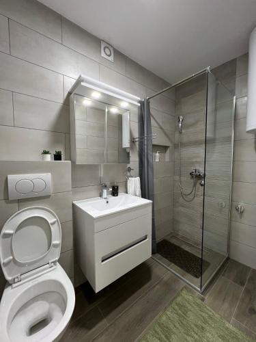 a bathroom with a toilet and a shower and a sink at LiboroApartments in Niš