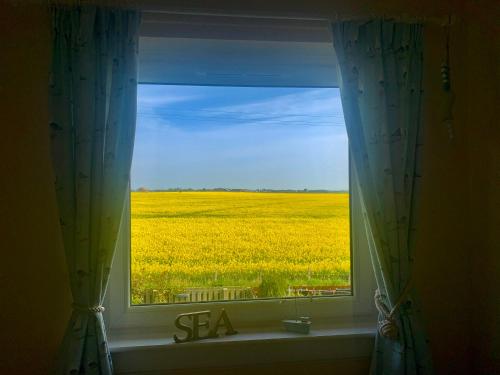 a window with a view of a yellow rapeseed field at Beach House Walk - Crail - Home from Home in Crail