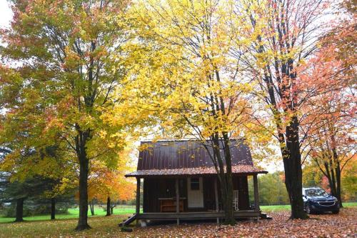a small cabin in the middle of trees at CHASIN' MEMORIES in Cochranton