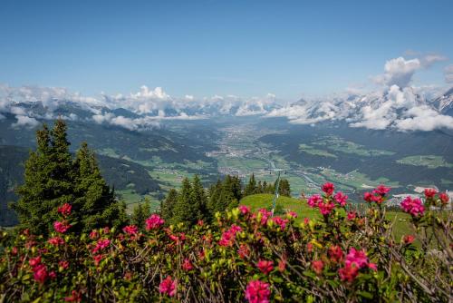 vistas a una montaña con flores rosas en Apartments Evandi - Ferienwohnungen in ruhiger Lage en Schwaz