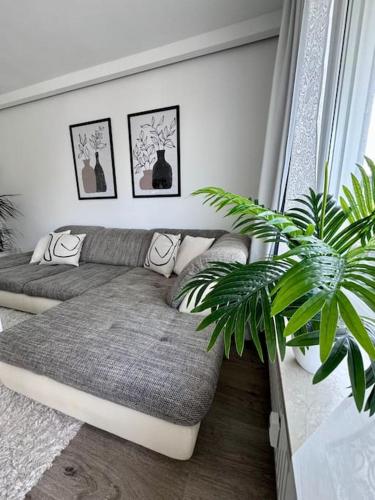 a living room with a couch and a plant at Schick, gemütlich & Nähe Therme in Bad Lippspringe