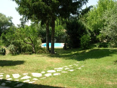 a yard with a tree and a swimming pool at Pieve Sant'Angelo in Campello sul Clitunno