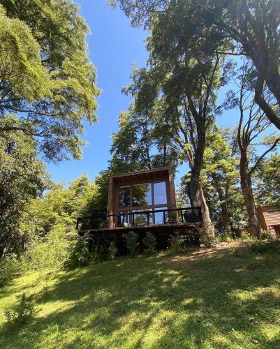 a tree house in the middle of a field at Loft Coigüe, Lodge Pucón Santos del Huife in Pucón