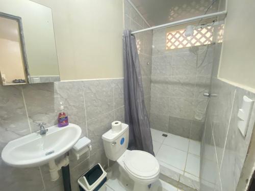 een badkamer met een toilet, een wastafel en een douche bij Finca Cristal con Piscina Room Blue in Puerto Viejo