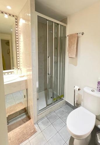 une salle de bain avec une douche, des toilettes et un lavabo dans l'établissement Jolie studio à Cannes, à Cannes