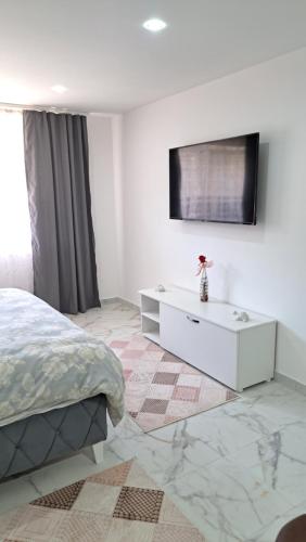 1 dormitorio con 1 cama y TV en la pared en Apartman Dzejda en Novi Pazar