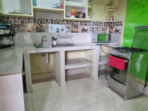 CañoneroにあるRancho Mi Cieloのシンクとコンロのある小さなキッチン