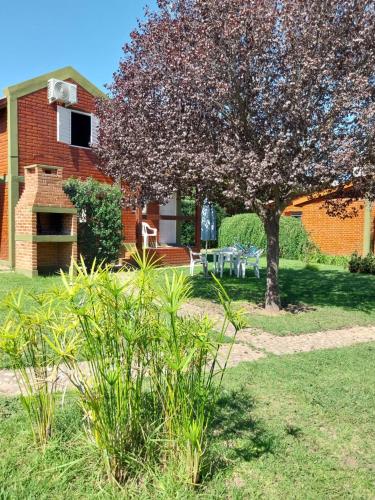 a tree in front of a house with a picnic table at Complejo Cantonavi in Mina Clavero