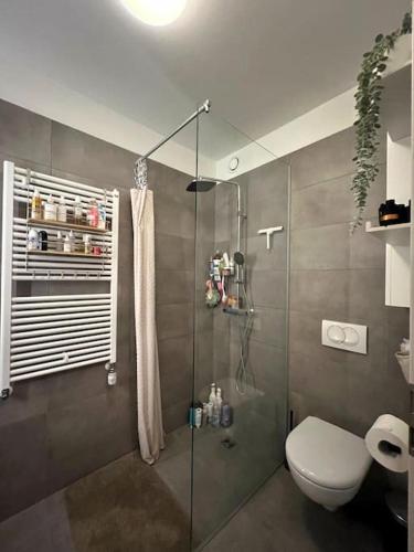 een badkamer met een toilet en een glazen douche bij The love nest in Reykjavik in Reykjavík