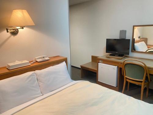 ein Hotelzimmer mit einem Bett und einem Schreibtisch mit einem Fernseher in der Unterkunft Hotel Castle Plaza Tagajo in Tagajo