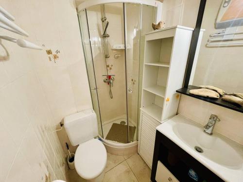 une salle de bain avec une douche, des toilettes et un lavabo dans l'établissement Centre-port Cap d'Agde, plage à pied, idéal couple + enfant - FR-1-723-153, au Cap d'Agde