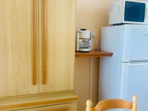 un micro-ondes posé sur un réfrigérateur dans l'établissement Studio cosy avec balcon, parking privé, proche thermes et centre ville, à Amélie-les-Bains - FR-1-703-177, à Amélie-les-Bains-Palalda