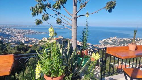 a view of the city from a balcony with plants at Arcadia Guesthouses - Ghazir, Lebanon in Ed Dkârîne