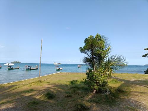 a palm tree next to a body of water with boats at Sweet Jungle Bungalows in Koh Rong Island