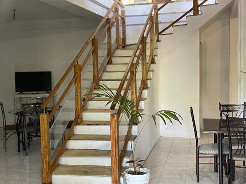 eine Holztreppe im Wohnzimmer mit Topfpflanze in der Unterkunft TheDream StMary in Saint Mary