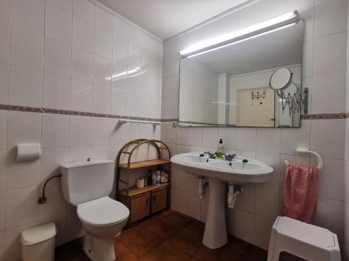 bagno con servizi igienici, lavandino e specchio di Casa Llançà, 6 dormitorios, 10 personas - ES-89-138 a Llança