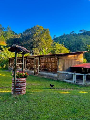 a bird standing next to a building with an umbrella at Hotel Fazenda Rancho Mineiro in Engenheiro Paulo de Frontin