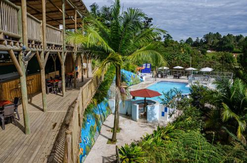 een resort met een palmboom naast een zwembad bij Hotel Santa Maria de las Aguas Peñol in Guatapé