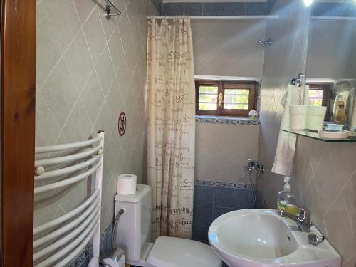 uma casa de banho com um WC branco e um lavatório. em Traditional house em Nikiti