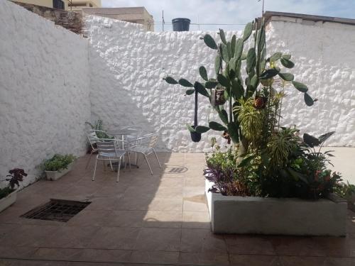 a patio with a table and a potted plant at Guajira Sunset Hostal in Ríohacha