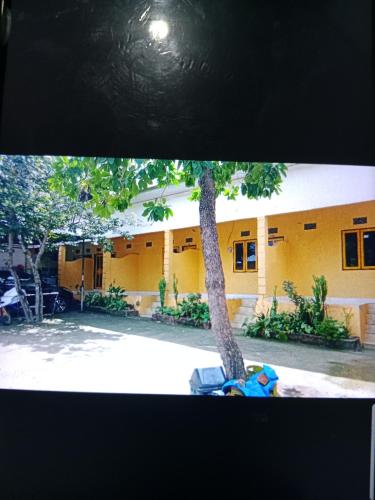 比拉的住宿－Wisma Anugerah Jaya，黄色建筑前的棕榈树