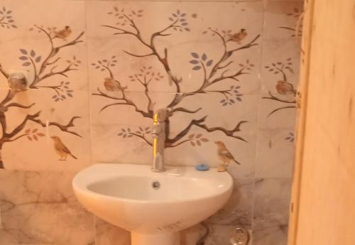 Ένα μπάνιο στο اسوان سحر الجنوب